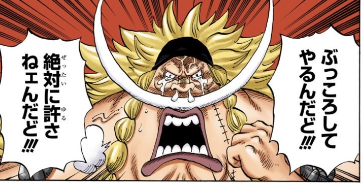 ワンピース 第802話 ウィーブル「絶対に許さねェんだど!!!」