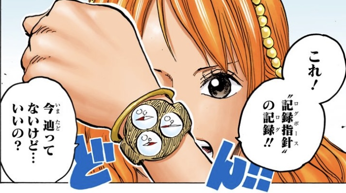 ワンピース 第820話 ナミ｢今 辿ってないけど… いいの？」