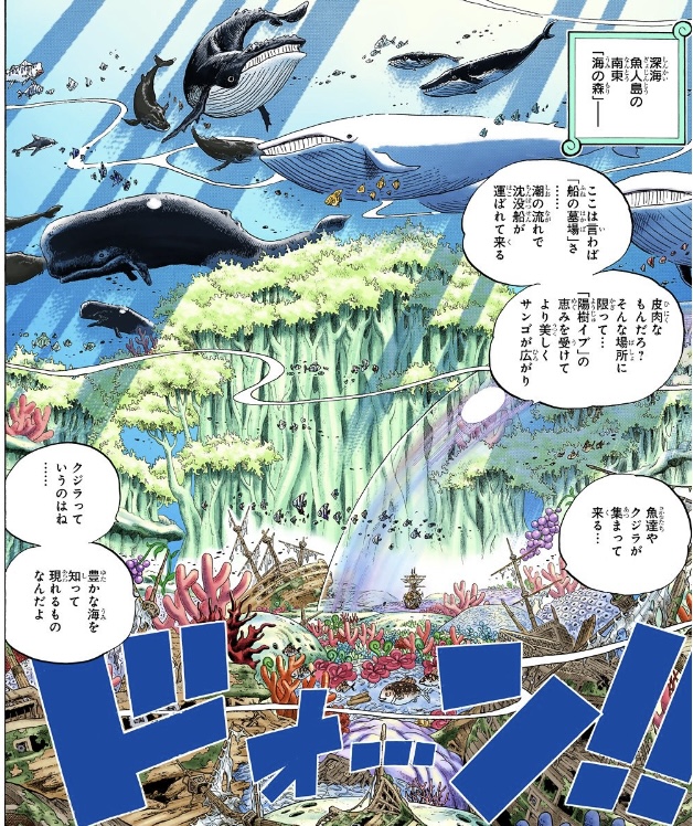 ワンピース 第616話 魚人島の南東「海の森」