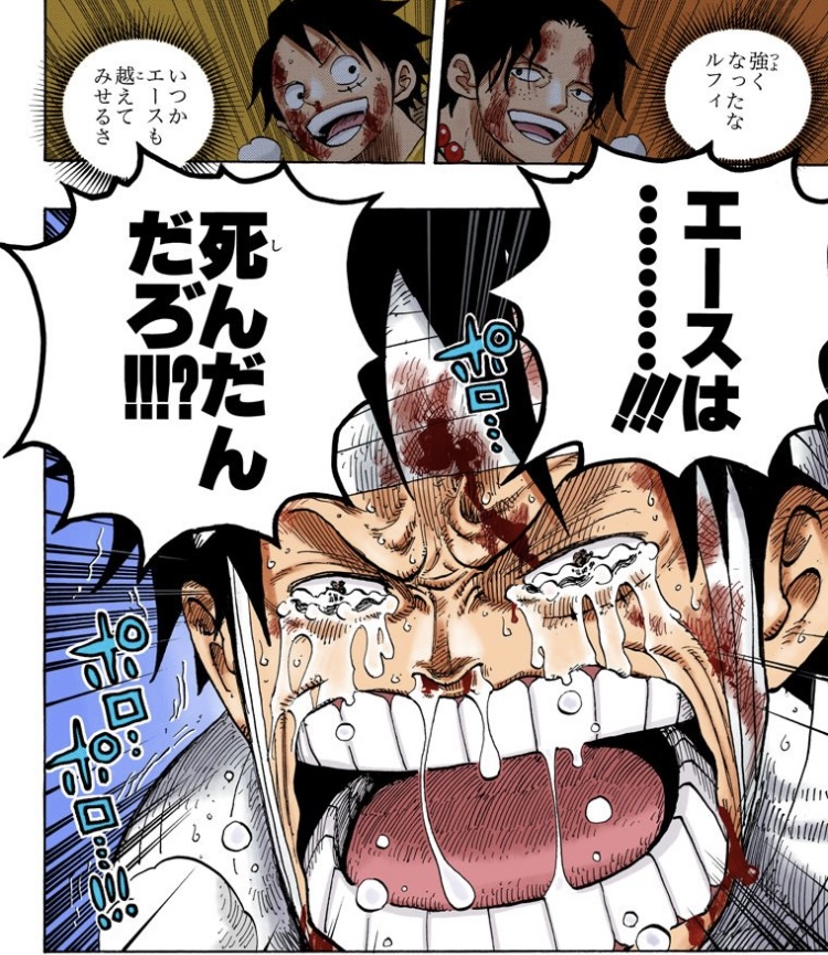 ワンピース 第582話 ルフィ「エースは…!!! 死んだんだろ!!!?」
