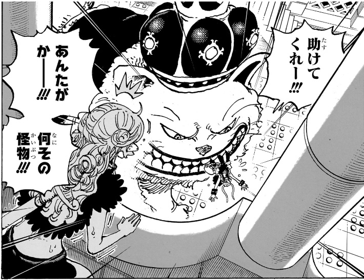 ワンピース 第1127話 ネコに襲われるウソップを見るナミ