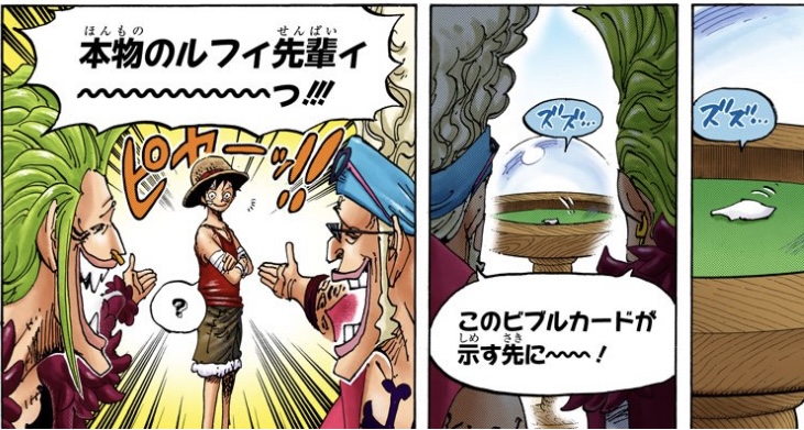 ワンピース 第801話 ビブルカードが示す先に本物のルフィ先輩