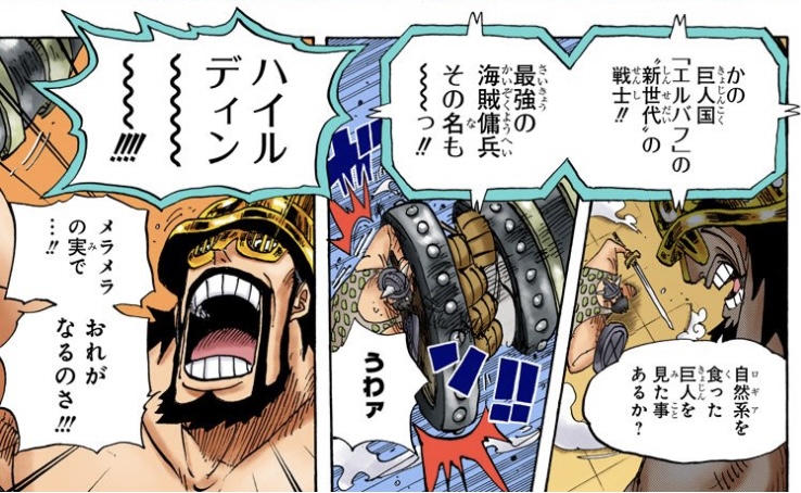 ワンピース 第714話 ハイルディン「自然系を食った巨人を見た事あるか？」