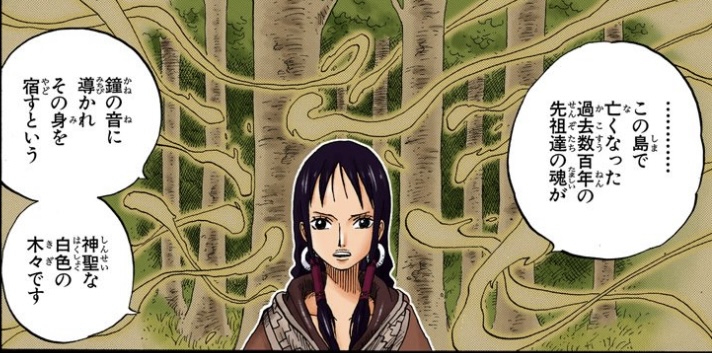 ワンピース 第291話 身縒木とは