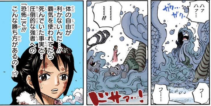 ワンピース 第687話 モネについて説明するたしぎ