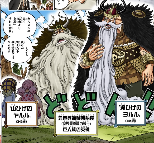 ワンピース 第866話 “滝ひげのヨルル”と“山ひげのヤルル”