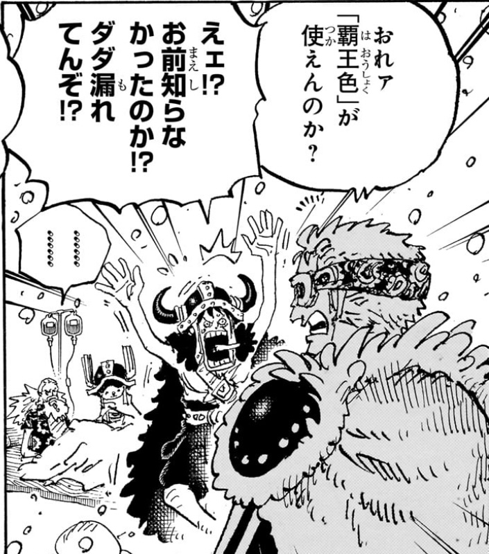 ワンピース 第1152話 ゾロ「おれァ「覇王色」が使えんのか？」