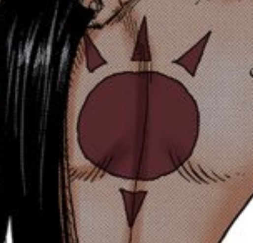 ワンピース 第521話 天駆ける竜の蹄