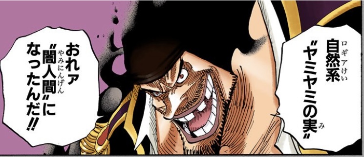 ワンピース 第441話 自然系“ヤミヤミの実”