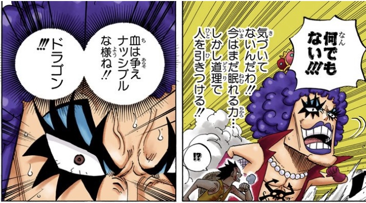 ワンピース 第570話 イワンコフ「血は争えナッシブルな様ね!! ドラゴン!!!」