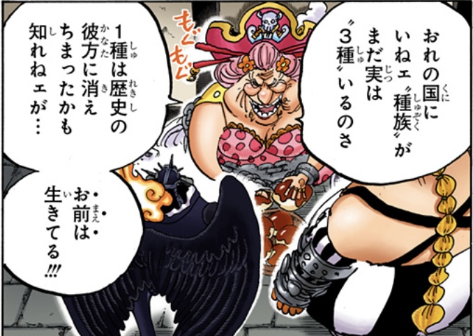 ワンピース 第951話 ビッグ・マムの国にいない３種の種族