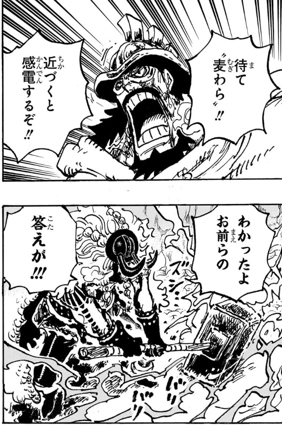 ワンピース 第1143話 ハイルディン「近づくと感電するぞ」