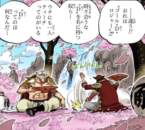 ワンピース 第576話 白ひげ「‟D”ってのは何なんだ...」