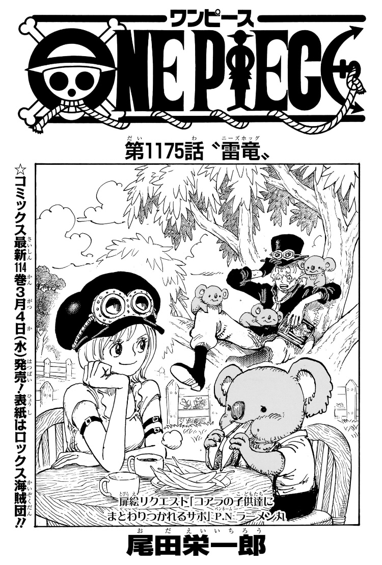 ワンピース 第1175話 扉絵