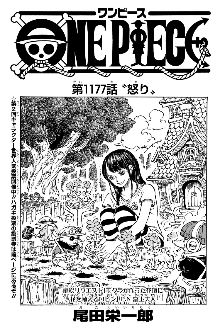 ワンピース 第1177話 扉絵