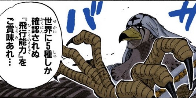 ワンピース 第169話 世界に５種しか確認されぬ「飛行能力」