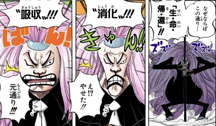ワンピース 第406話 生命帰還による消化と吸収