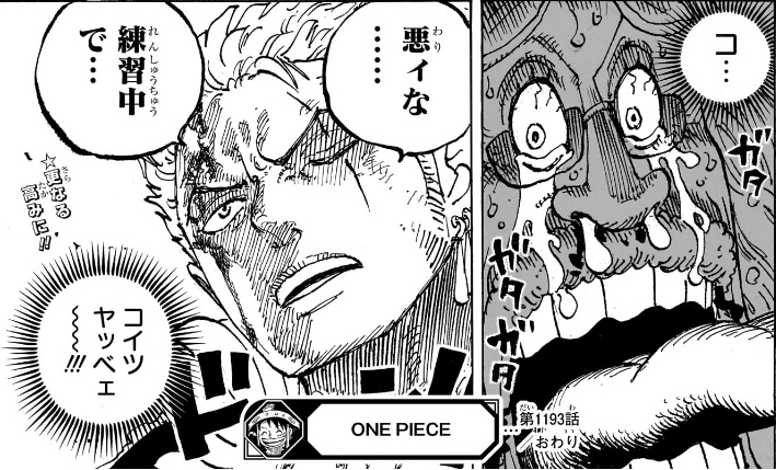 ワンピース 第1193話 ゾロ「悪ィな... 練習中で...」