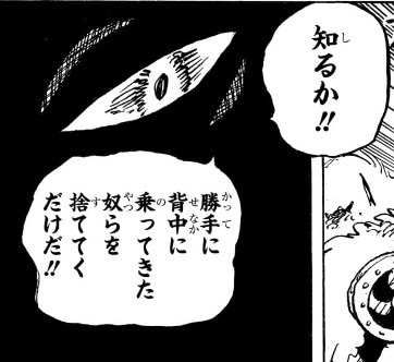 ワンピース 第1175話 ロキ「知るか」